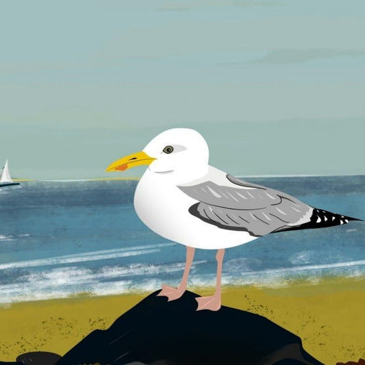 Gull | Diamond Painting