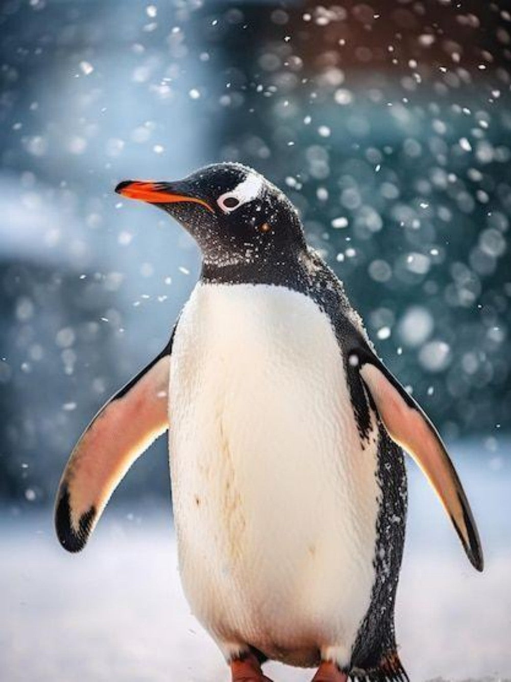 Penguin | Diamond Painting