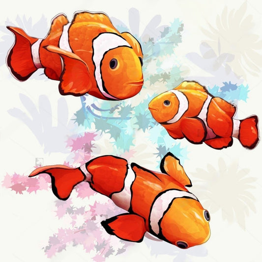 Clown Fish | Diamond Painting