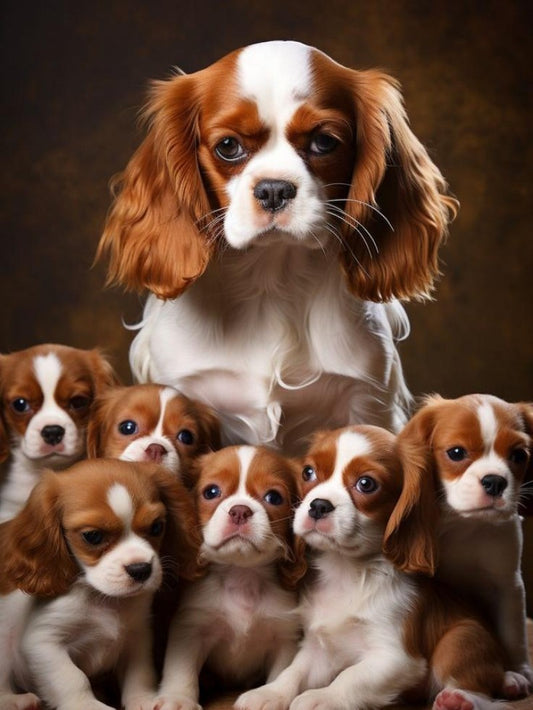 Dog Cavalier King Charles Spaniel | Diamond Painting