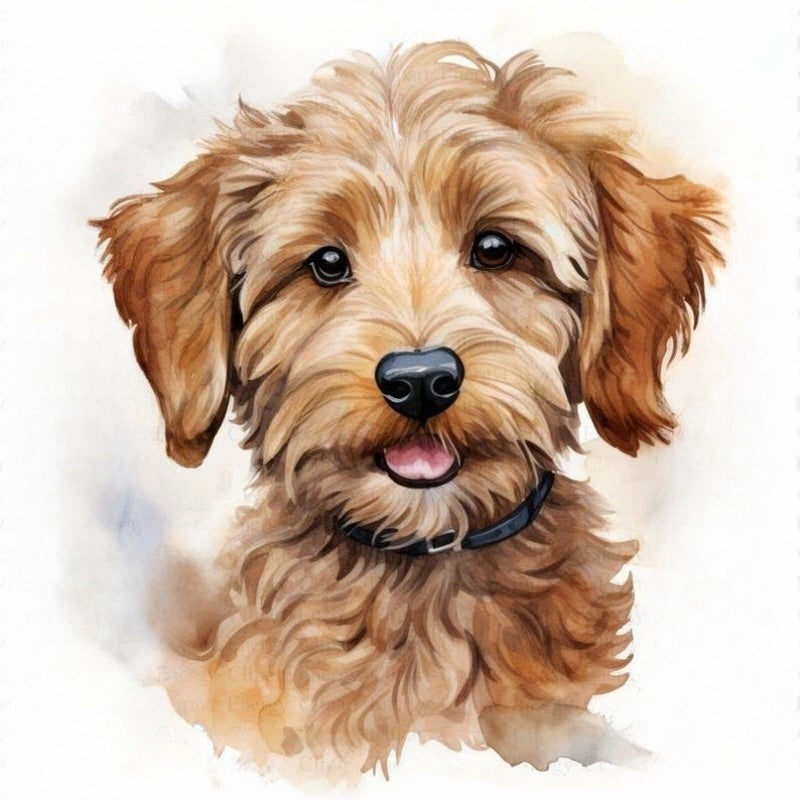 Labradoodle Dog | Diamond Painting