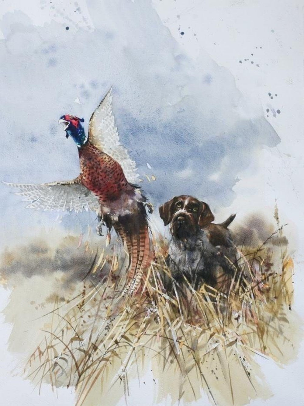 Pheasant | Diamond Painting