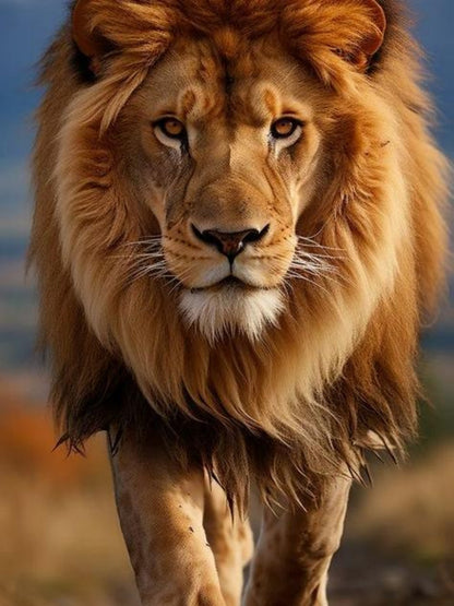 Lion | Diamond Painting