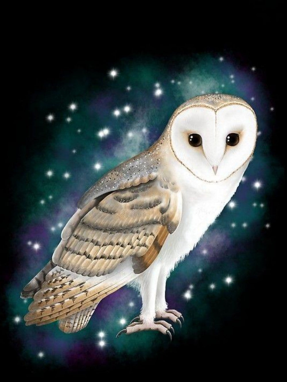 Barn Owl | Diamond Painting