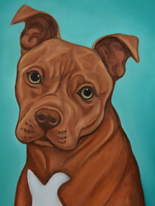 Pit Bull Dog | Diamond Painting