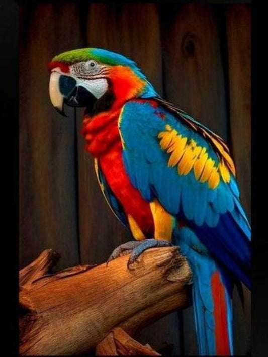 Macaw | Diamond Painting