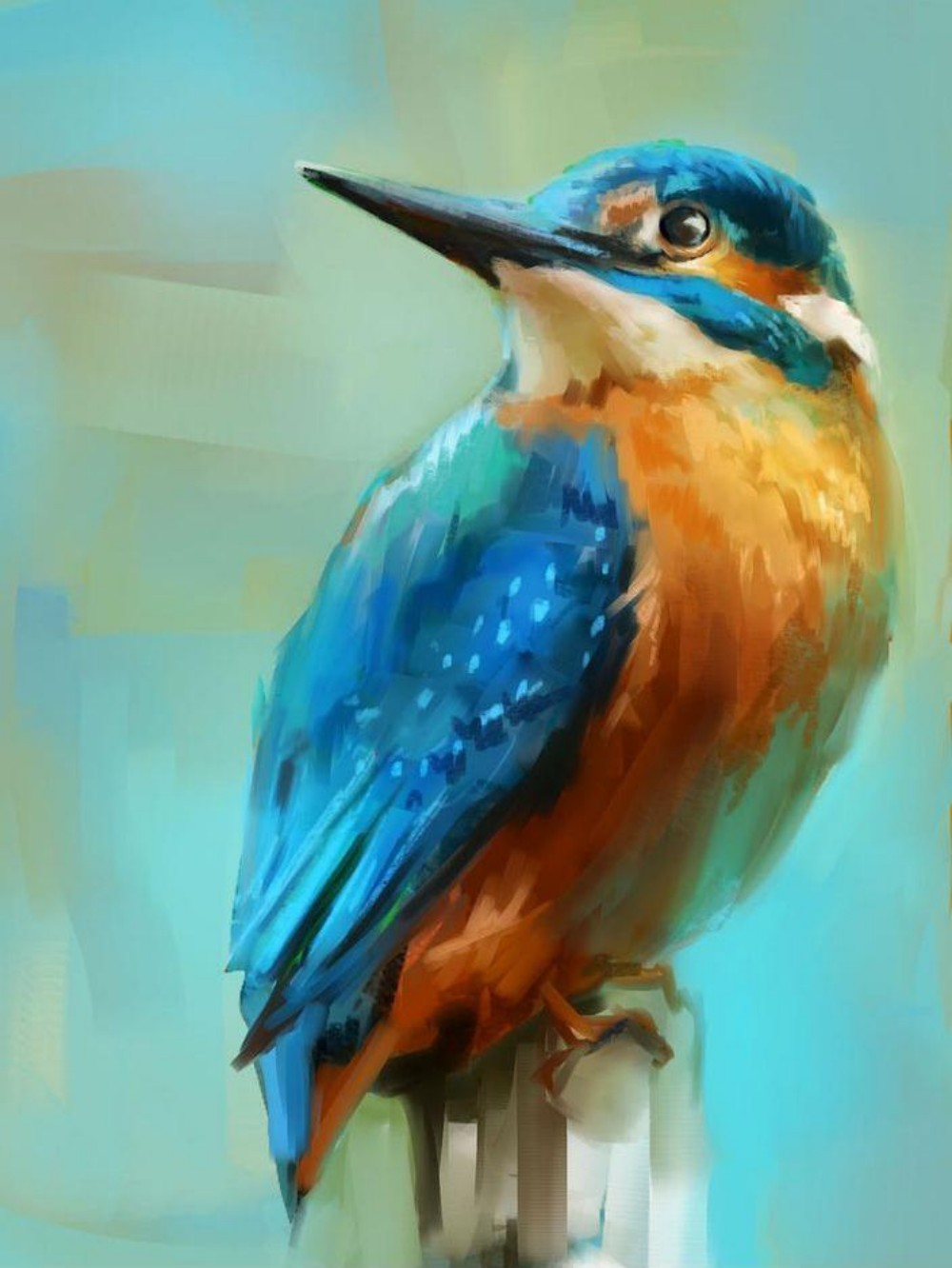 Kingfisher | Diamond Painting