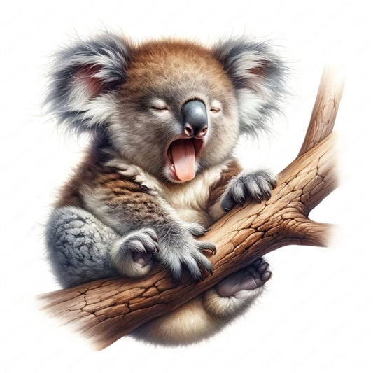 Koala | Diamond Painting