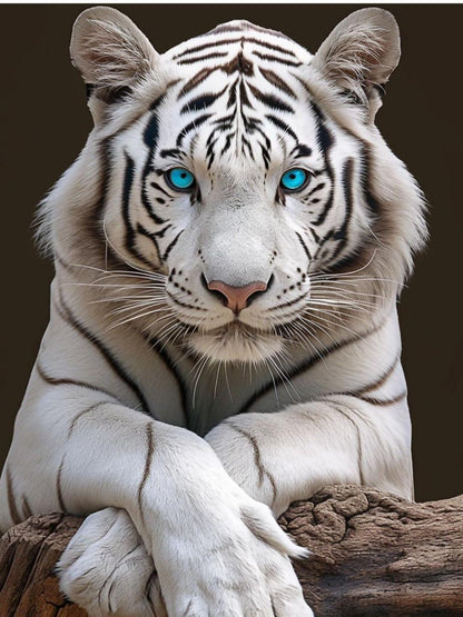 White Tiger | Diamond Painting