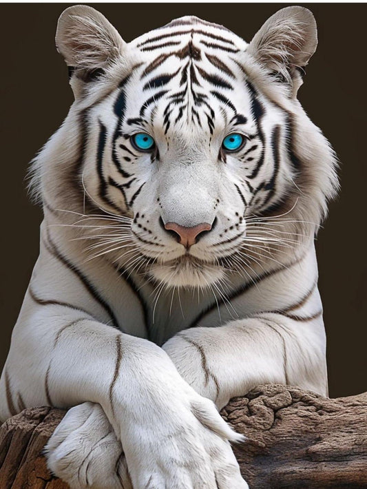 White Tiger | Diamond Painting