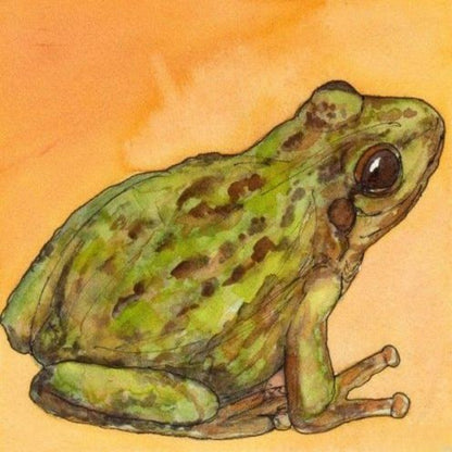 Frog | Diamond Painting