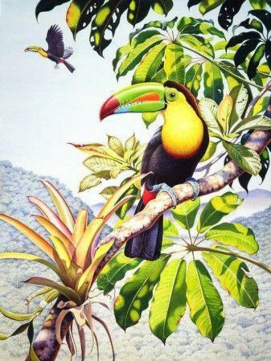 Toucan Bird | Diamond Painting