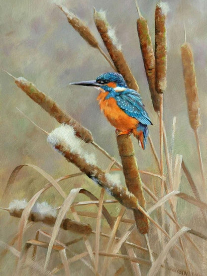 Kingfisher | Diamond Painting