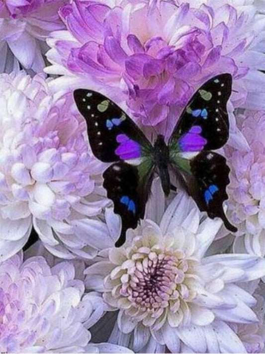 Butterfly | Diamond Painting
