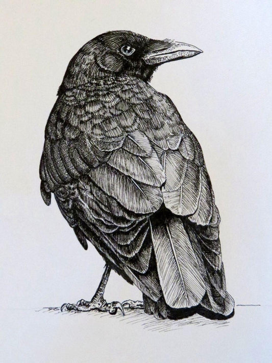 Crow | Diamond Painting