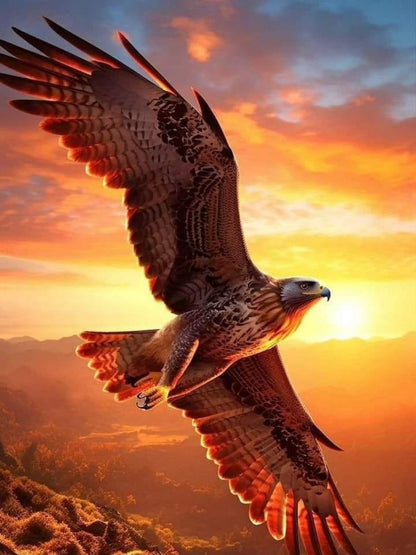 Eagle | Diamond Painting