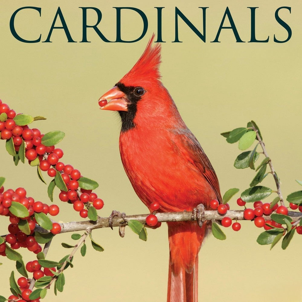 Cardinal | Diamond Painting