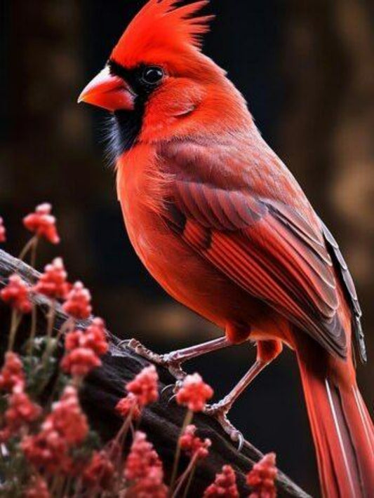 Cardinal | Diamond Painting