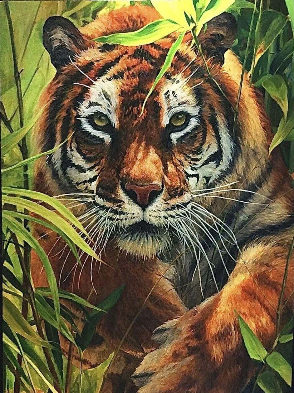 Bengal Tiger | Diamond Painting