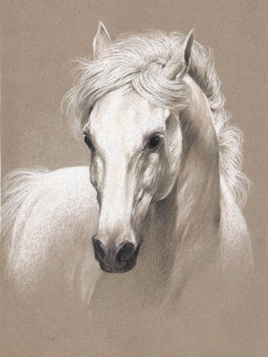 Horse | Diamond Painting