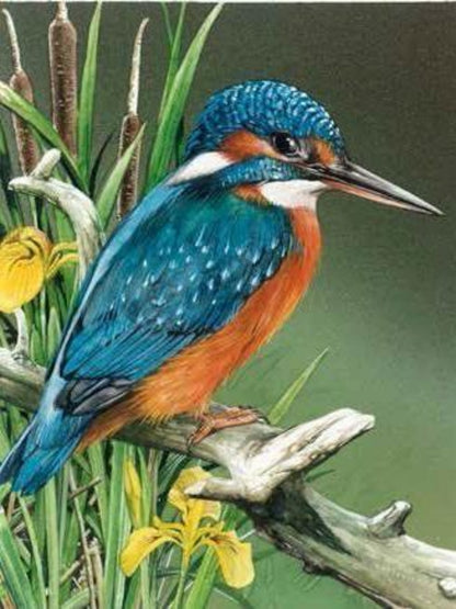 Kingfisher | Diamond Painting