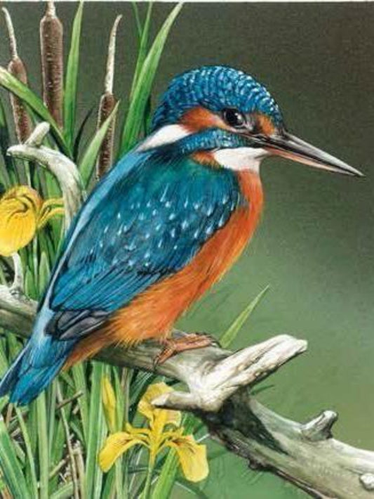 Kingfisher | Diamond Painting