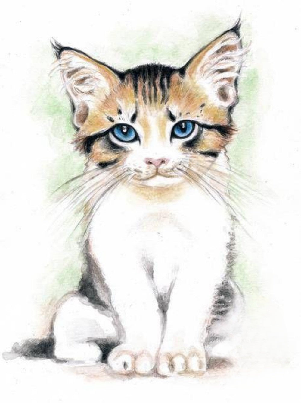 Tabby Cat | Diamond Painting