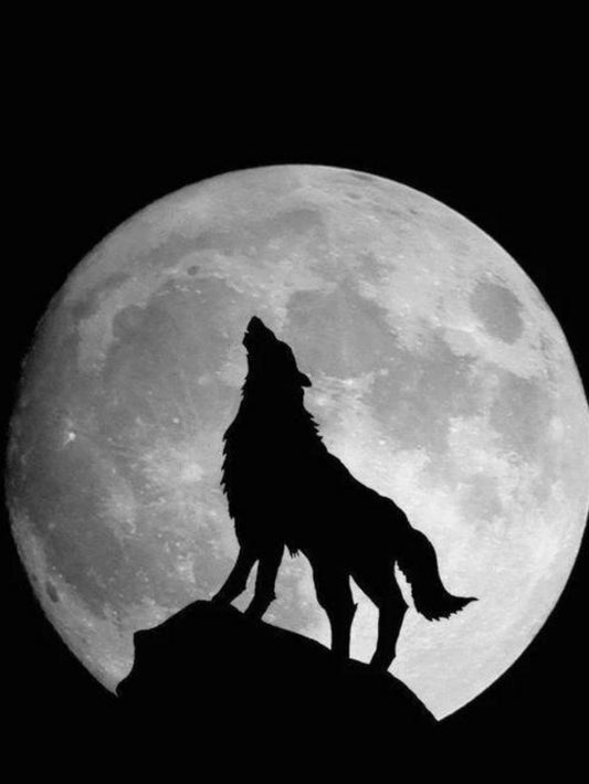 Wolf | Diamond Painting