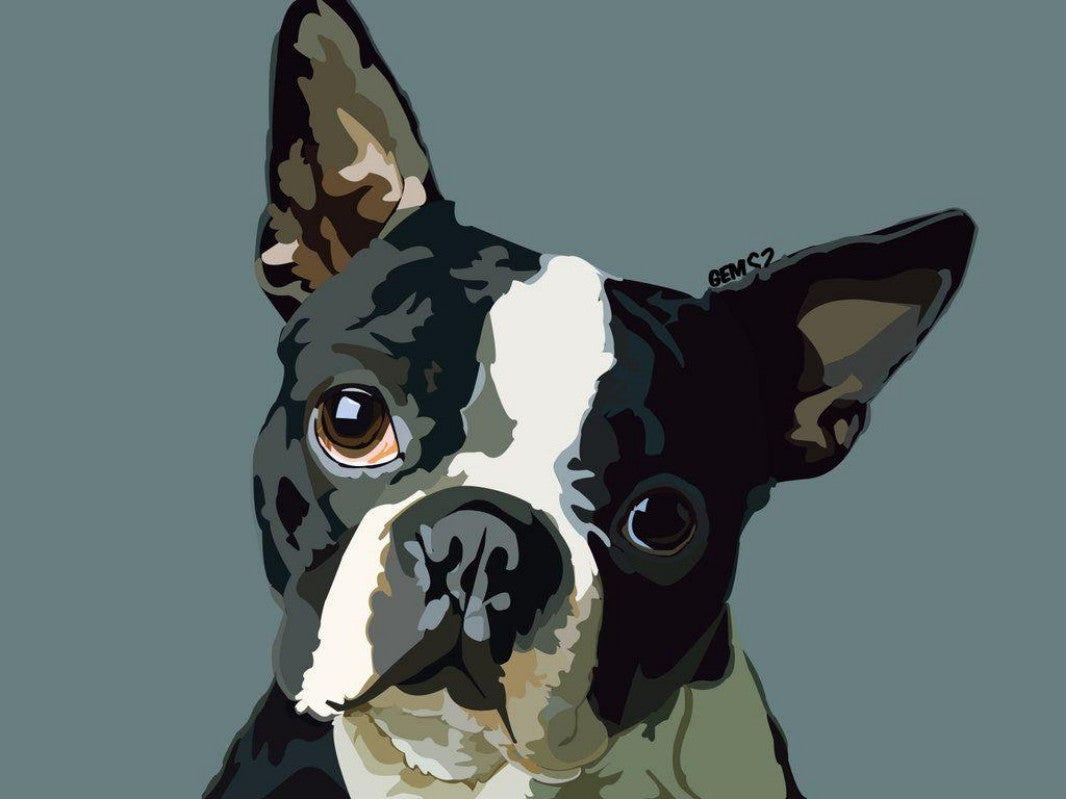 Boston Terrier Dog | Diamond Painting