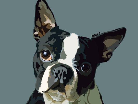 Boston Terrier Dog | Diamond Painting