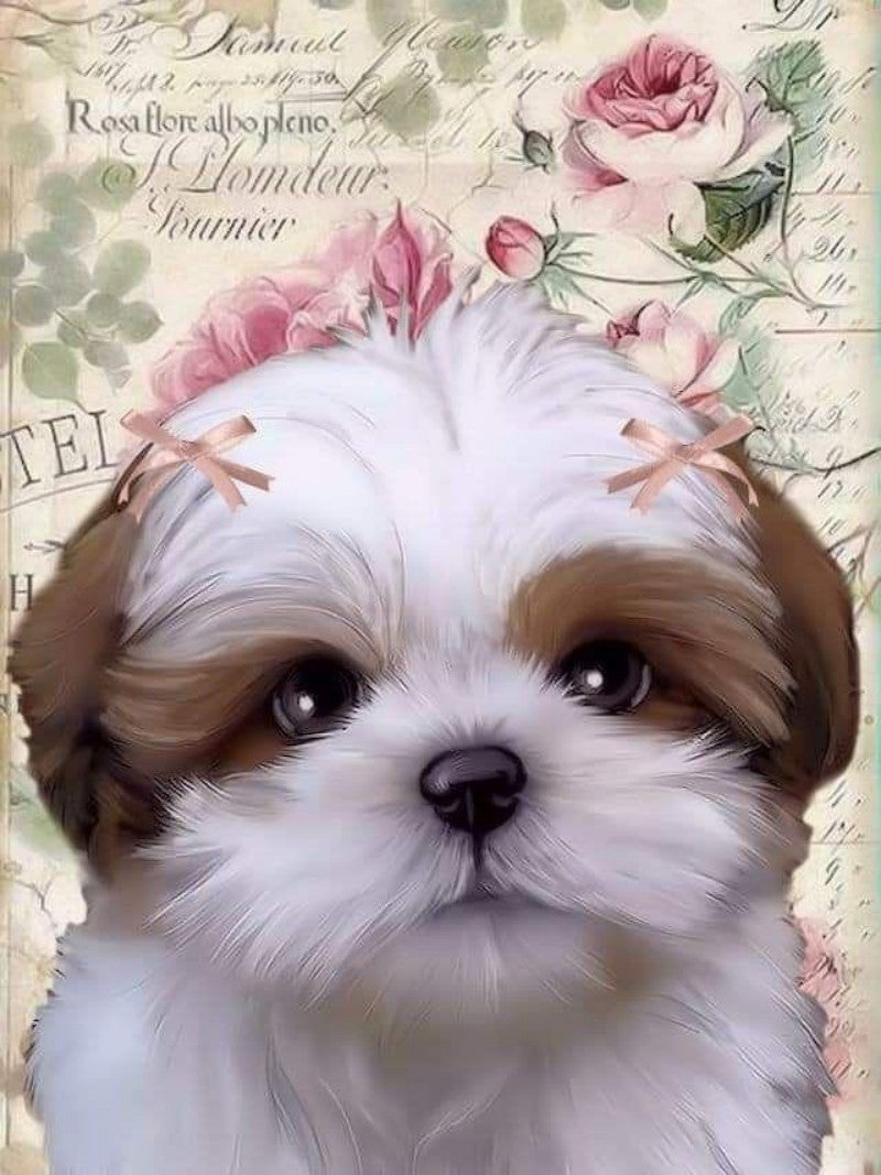 Dog Shih Tzu | Diamond Painting