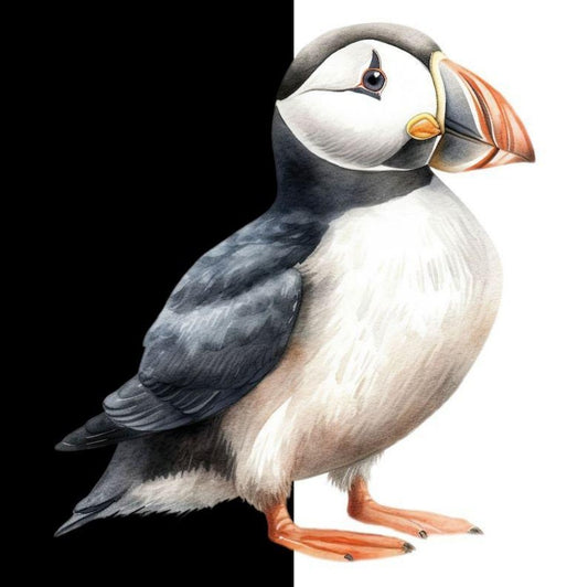 Puffin | Diamond Painting