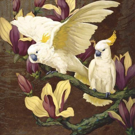 Cockatoo | Diamond Painting