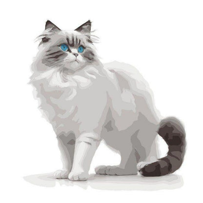 Ragdoll Cat | Diamond Painting