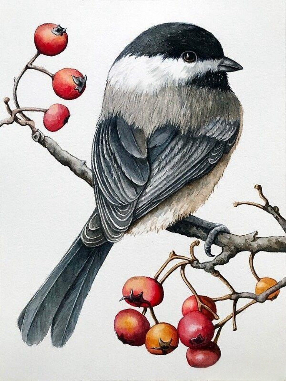 Chickadee | Diamond Painting