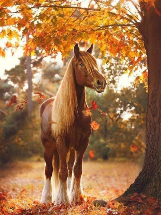 Clydesdale Horse | Diamond Painting