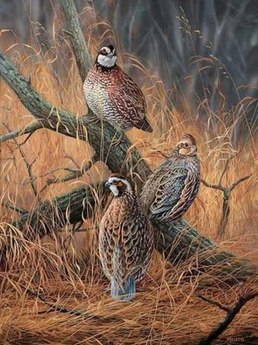 Quail | Diamond Painting