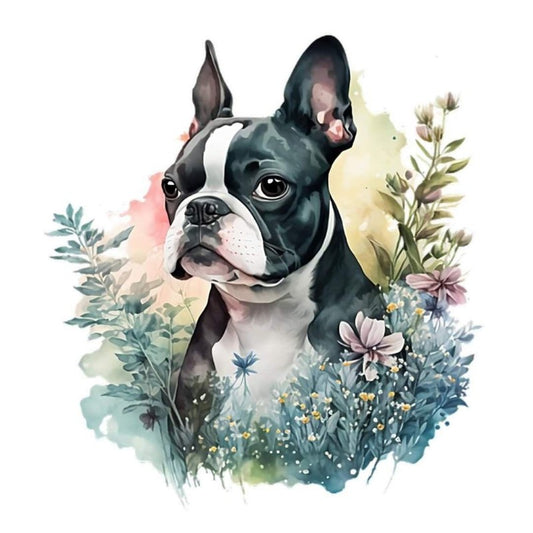 Boston Terrier Dog | Diamond Painting