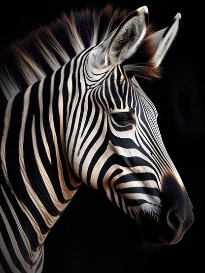 Zebra | Diamond Painting