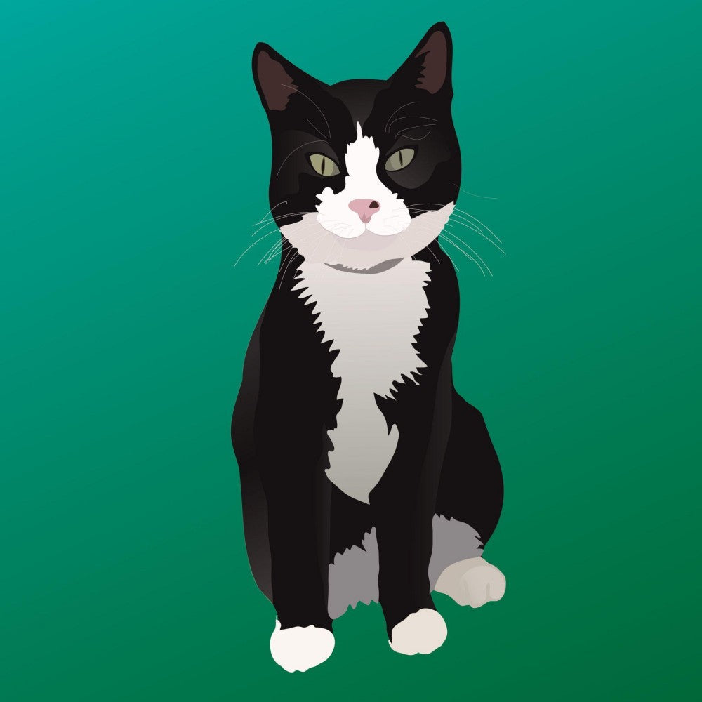 Tuxedo Cat  | Diamond Painting