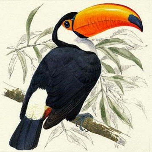 Toucan Bird | Diamond Painting