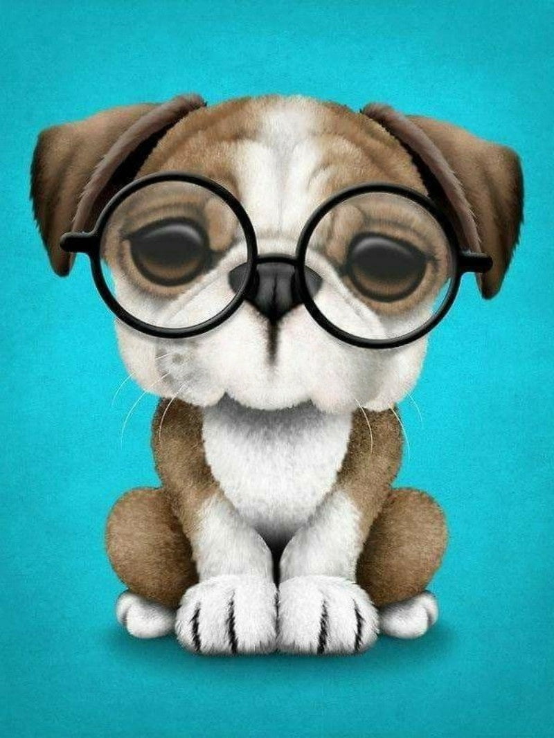 Boxer Dog | Diamond Painting