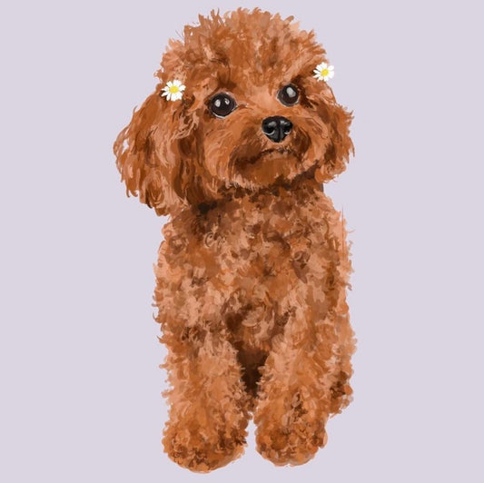 Poodle Dog | Diamond Painting
