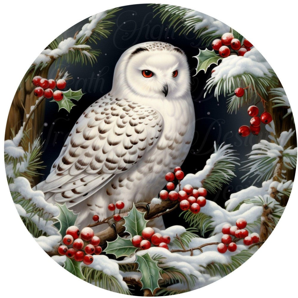 Snowy owl (White Owl) | Diamond Painting