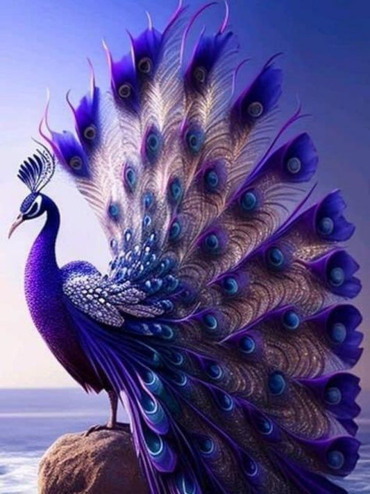 Peacock | Diamond Painting