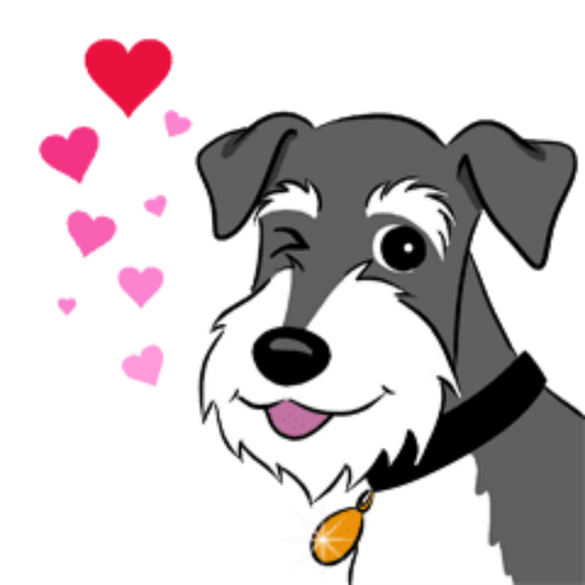 Dog Schnauzer | Diamond Painting