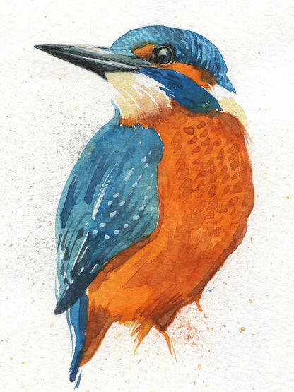 Kingfisher | Diamond Painting