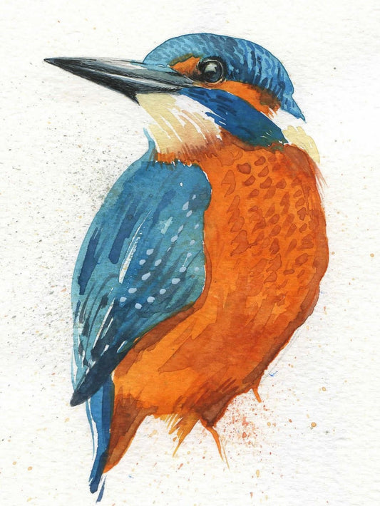 Kingfisher | Diamond Painting