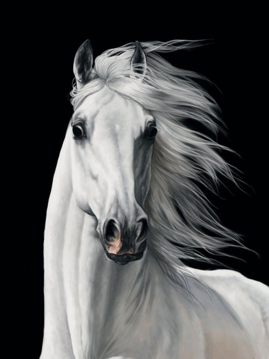 Horse | Diamond Painting