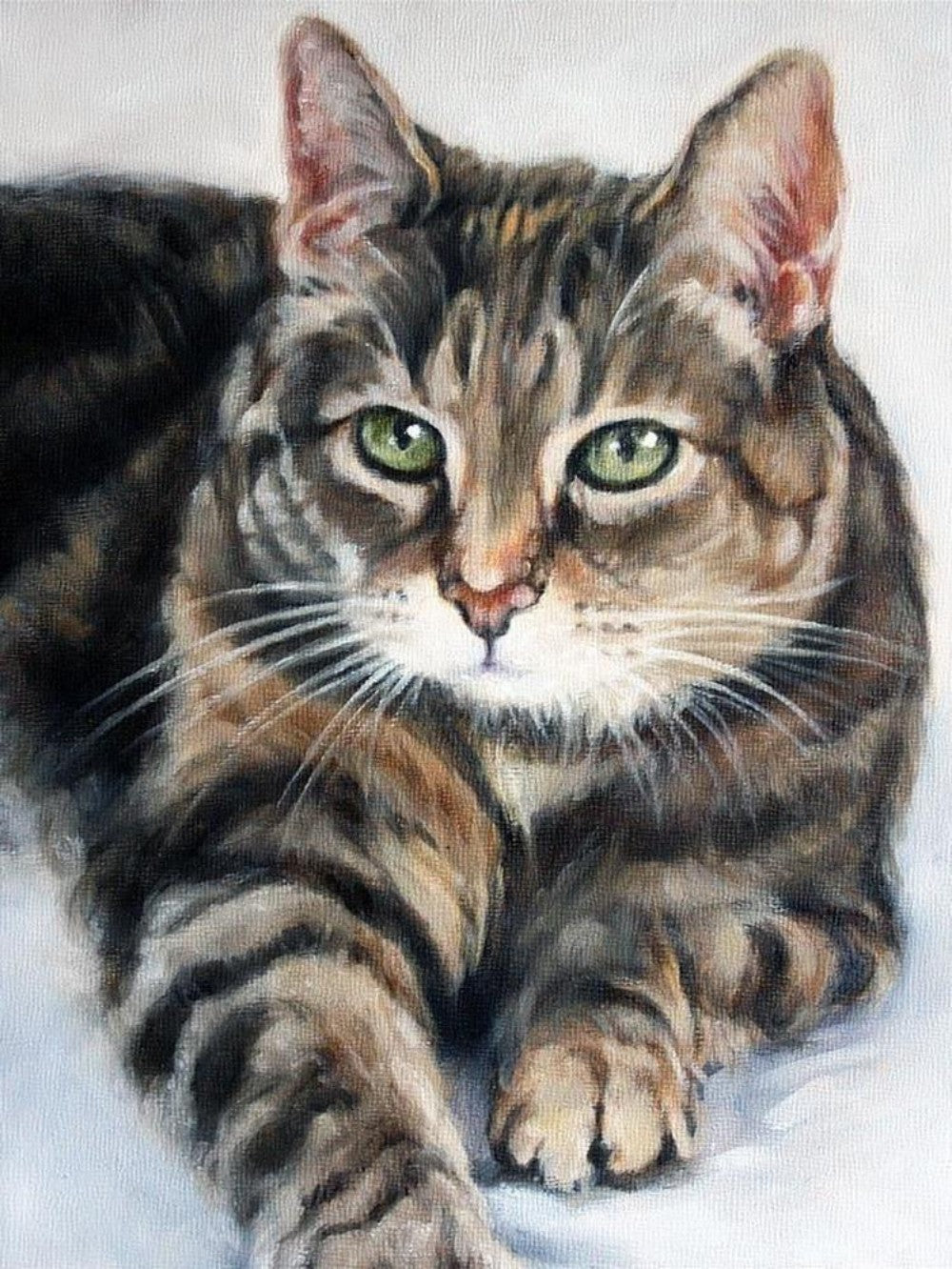 Tabby Cat | Diamond Painting